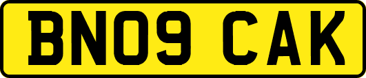 BN09CAK