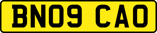 BN09CAO