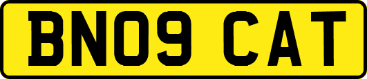 BN09CAT