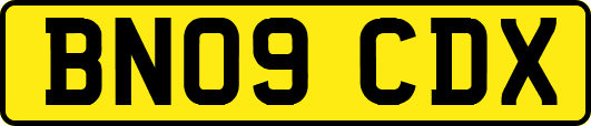 BN09CDX
