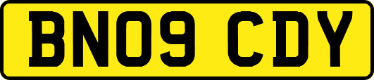 BN09CDY