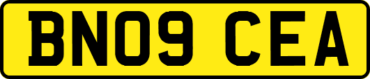 BN09CEA