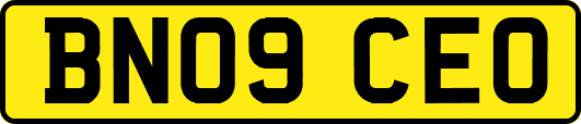 BN09CEO