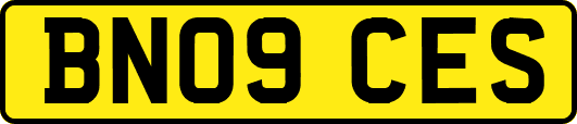 BN09CES