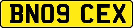 BN09CEX