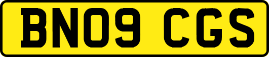 BN09CGS