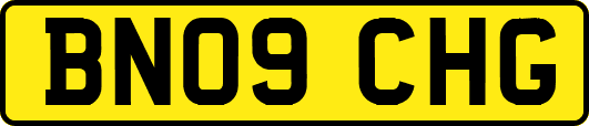 BN09CHG