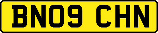 BN09CHN