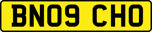 BN09CHO