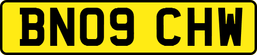 BN09CHW