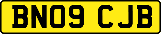 BN09CJB