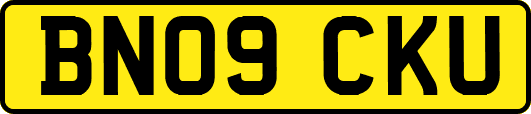 BN09CKU