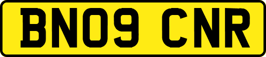 BN09CNR