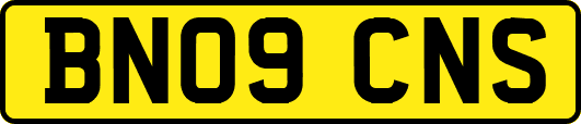 BN09CNS