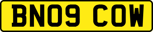 BN09COW
