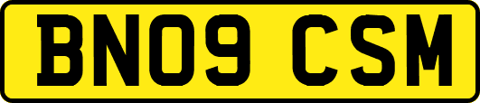 BN09CSM