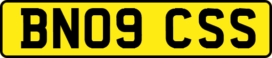 BN09CSS