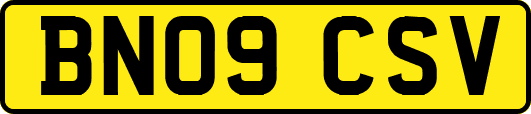 BN09CSV