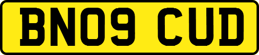 BN09CUD