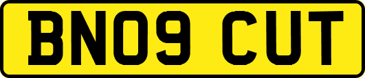 BN09CUT
