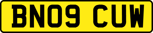 BN09CUW