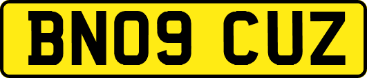 BN09CUZ