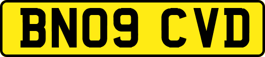 BN09CVD