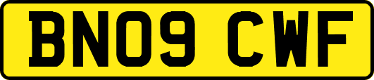 BN09CWF