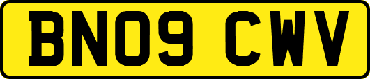 BN09CWV