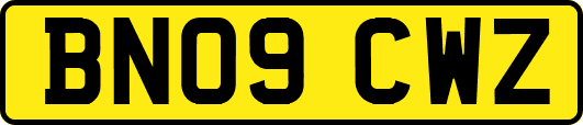 BN09CWZ