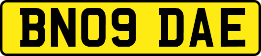 BN09DAE