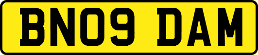 BN09DAM