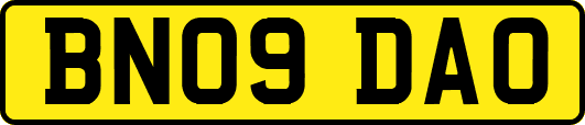BN09DAO