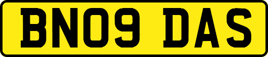BN09DAS