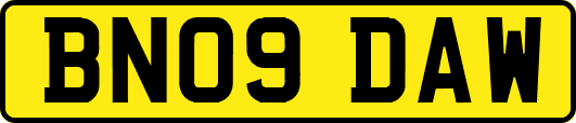 BN09DAW