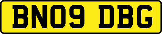 BN09DBG