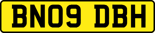 BN09DBH