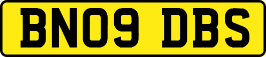 BN09DBS