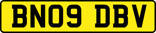BN09DBV