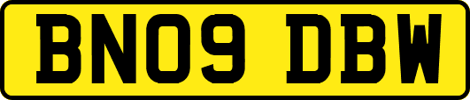 BN09DBW