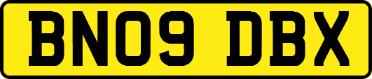 BN09DBX