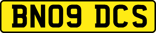 BN09DCS