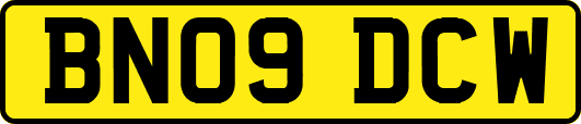 BN09DCW