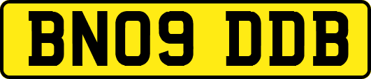 BN09DDB