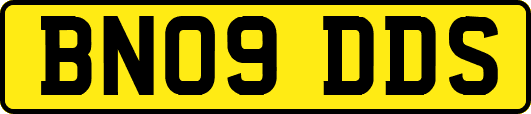 BN09DDS
