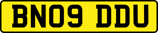 BN09DDU
