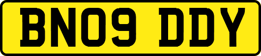 BN09DDY