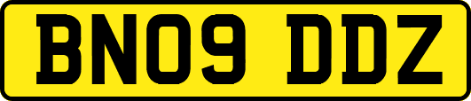 BN09DDZ