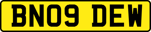 BN09DEW