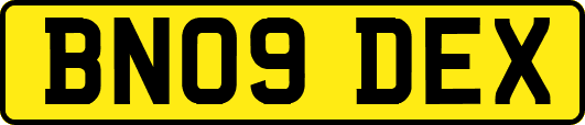 BN09DEX